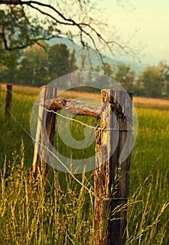 Smoky Mountains Cades Cove