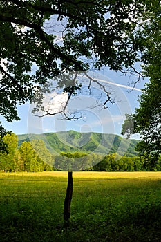 Smoky Mountains Cades Cove in Late Spring