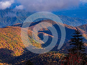 Smoky Mountains in fall colors with sun and shadows.