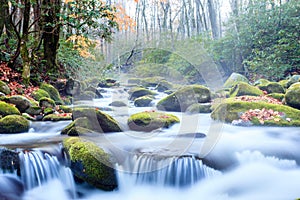 Smoky Mountains National Park