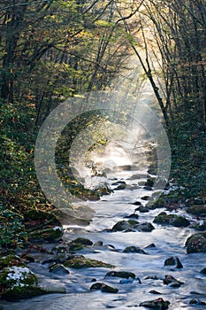 Smoky Mountains river on cold morning photo