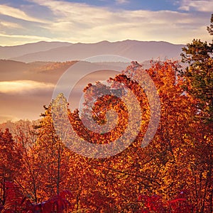 Smoky Mountains in Tennessee with Autumn colored Trees