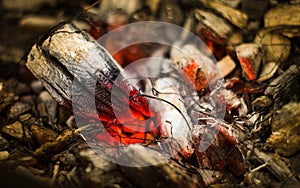 Smoldering ember in the fire