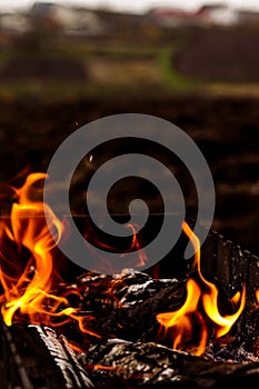 Smoldering logs, heat, fire, ashes. Autumn rural landscape, gloomy photo, light, macro photography. Autumn photo