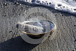 Smoldering Sage Smudge Stick and Ocean Wave