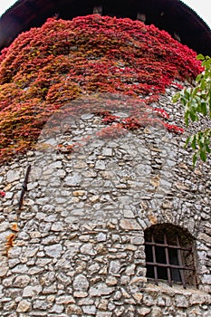 Smolenice castle in Slovakia on the rise, Europe1