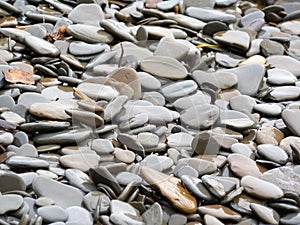 Smooth beach stones