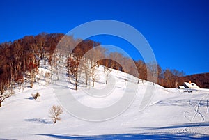 A smooth blanket of snow