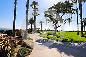 A smooth concreate footpath in the park surrounded by lush green palm trees and plants with green grass and blue sky