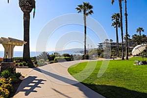 A smooth concreate footpath in the park surrounded by lush green palm trees and plants with green grass and blue sky