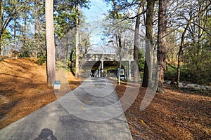 A smooth concrete bike path with a yellow line in the park surrounded by lush green and autumn colored trees