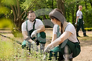 Smooth cooperation between passionate gardeners