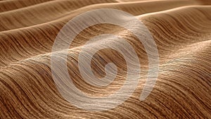 Soft Sand Dune Texture