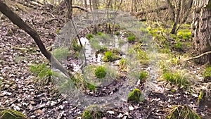 Smooth flowing river in slow motion through moorland with green swamp plants and peaceful silence and bird songs