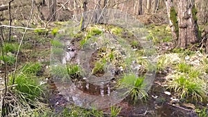 Smooth flowing river in slow motion through moorland with green swamp plants and peaceful silence and bird songs