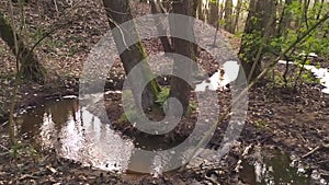 Smooth flowing river in slow motion through moorland with green swamp plants and peaceful silence and bird songs at the calm creek