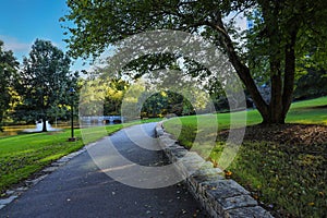 A smooth footpath through the park surrounded by green grass and lush green trees with a lake with a water fountain