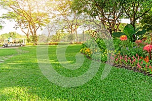 Smooth green grass lawn in good care maintenance garden, flowering plant, shurb and trees on backyard under morning sunlight