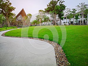 Smooth green grass lawn, trees with supporting and shrub in a good maintenance landscape and garden, gray curve pattern walkway