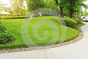 Smooth green grass lawn, trees with supporting and shrub in a good maintenance landscape and garden, gray curve pattern walkway,