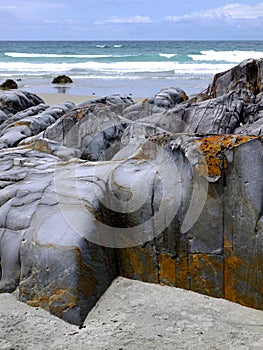 Beach: smooth greywacke rocks