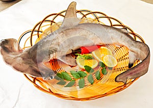 Smooth Hammerhead Shark decorated with herbs and fruits on a white Background