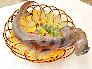 Smooth Hammerhead Shark decorated with herbs and fruits on a white Background