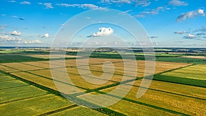 Smooth lines of agricultural fields