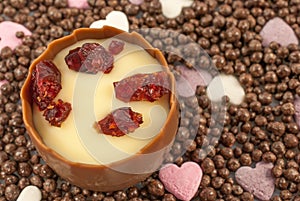 Smooth milk chocolate with an aromatic cherry brandy truffle center, decorated with sweetened dried cranberry pieces