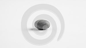 A smooth oval shaped gray pebble is centered on a plain white background
