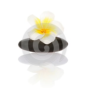 Smooth pebble and frangipani flower