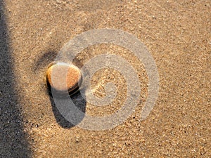 Smooth pebble rock on beach with golden brown wet sand shining in sunlight next to the ocean