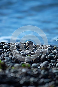 Smooth pebbles on the beach.