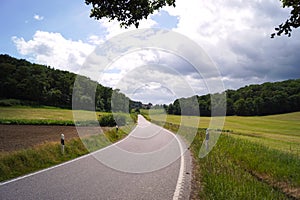 smooth road in the forest