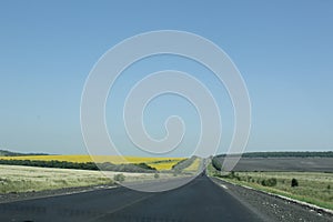 Smooth road. Natural landscape.Blooming fields at the horizon.Travelling by car