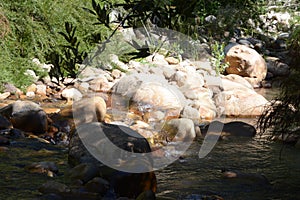 Smooth rocks in a riverbed with a stream of calming waters.