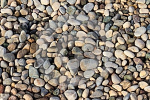 Smooth round pebbles texture background. Pebble sea beach close-up