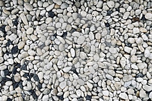 Smooth round pebbles texture background. Pebble sea beach close-up, dark wet pebble and gray dry pebble