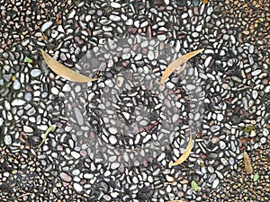 Smooth round pebbles texture background. Pebble sea beach close-up, dark wet pebble and gray dry pebble