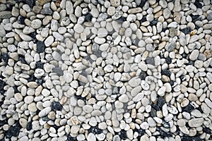 Smooth round pebbles texture background. Pebble sea beach close-up, dark wet pebble and gray dry pebble