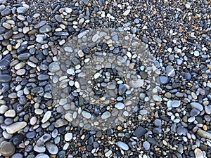 Smooth round pebbles texture background. Pebble sea beach close-up, dark wet pebble and gray dry pebble