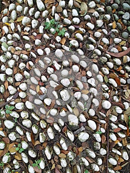 Smooth round pebbles texture background. Pebble sea beach close-up, dark wet pebble and gray dry pebble