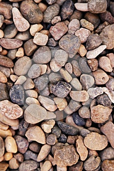Smooth round pebbles texture background. Pebble sea beach close-up, dark wet pebble and gray dry pebble. High