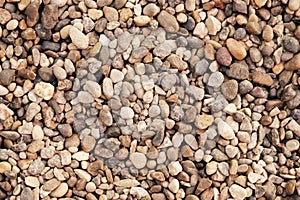 Smooth round pebbles texture background. Pebble sea beach close-up, dark wet pebble and gray dry pebble. High