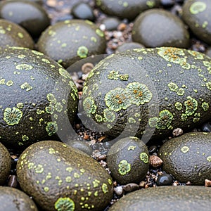 Smooth, rounded stones scattered on a