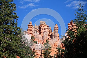 The smooth and rounded tops of the red rock hoodoos in Bryce Canyon National Park photo