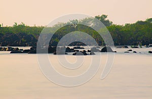 smooth silky water of sea beach with mangroves at manori beach India