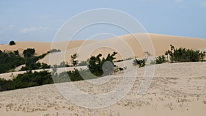 Smooth sliding shot of White Sand Dunes in Muine, Vietnam.