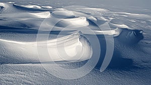 smooth snow surface with nature tree shadows.