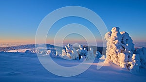 Smooth snow on trees at mountain ridge in winter